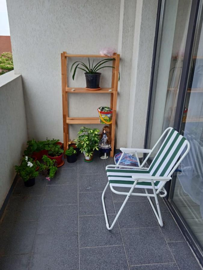 Deluxe 2 Bedroom With Balcony And Private Parking Bragadiru